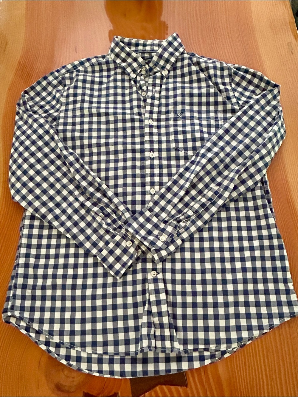 American Eagle Outfitters Navy and White Gingham Button-Down Shirt